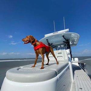 Image post by @freemanboatworks on Instagram