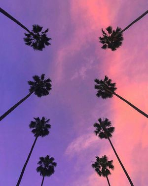 Image post by @asenseofhuber on Instagram
