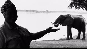 Image post by @chiawasafaris on Instagram