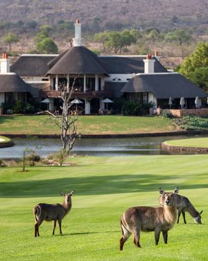 Image post by @alexknappegolf on Instagram