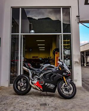 Image post by @panigalers on Instagram