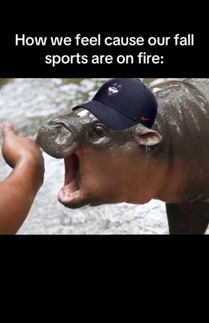 Video post by @uconnhuskies on TikTok