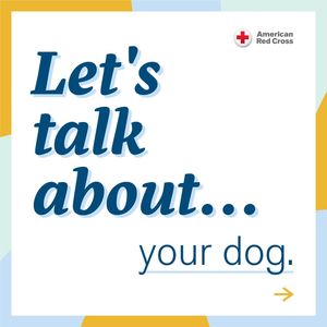 Image post by @americanredcross on Instagram