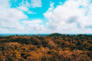 Image post by @andrewxmendez on Instagram