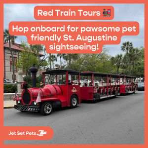 Image post by @jetsetpets on Instagram