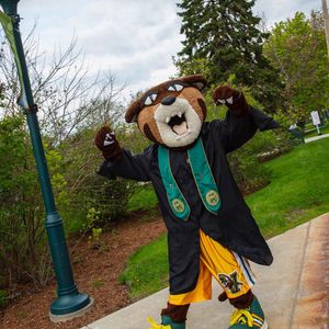 Image post by @uvmathletics on Instagram