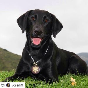 Image post by @vcsheriff on Instagram