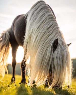 Image post by @jpotterphoto on Instagram