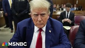 Video post by @msnbc on YouTube