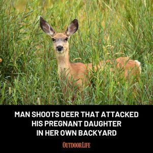 Image post by @outdoor_life on Instagram