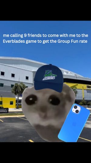 Video post by @fl_everblades on TikTok
