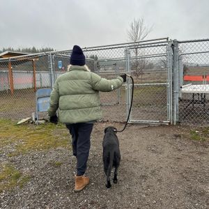 Image post by @spokhumanesoc on Instagram