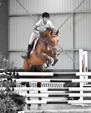Image post by @snaffle_it on Instagram