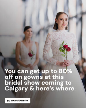 Image post by @curiocitycalgary on Instagram