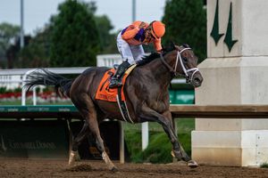 Image post by @spendthriftfarm on Twitter/X