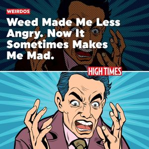 Image post by @hightimesmagazine on Instagram