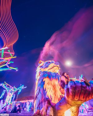 Image post by @nocturnalwland on Instagram