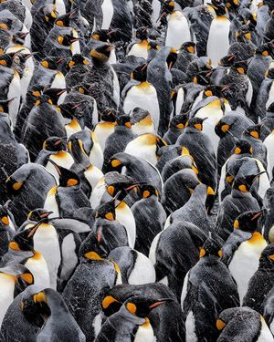 Image post by @natgeo on Instagram