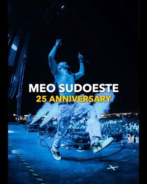Image post by @steveaoki on Instagram