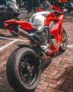 Image post by @panigalers on Instagram