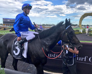 Image post by @australianturfclub on Instagram