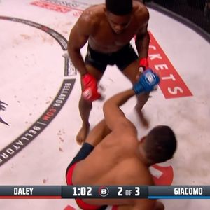 Image post by @bellatormma on Instagram
