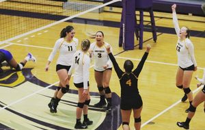 Image post by @gustievb on Instagram