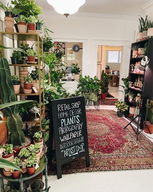 Image post by @thegreenhousejax on Instagram