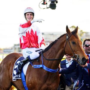 Image post by @australianturfclub on Instagram