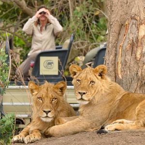 Image post by @chiawasafaris on Instagram