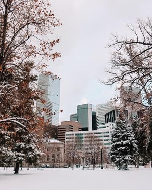 Image post by @theamandabittner on Instagram