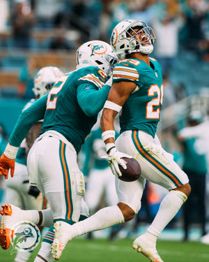 Image post by @dolphins_esp on Instagram