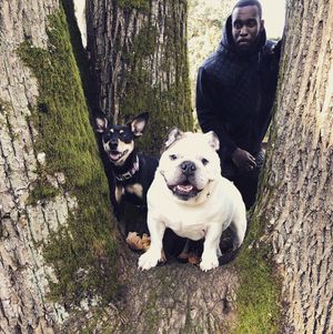 Image post by @kamchancellor on Instagram