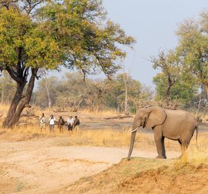Image post by @chiawasafaris on Instagram