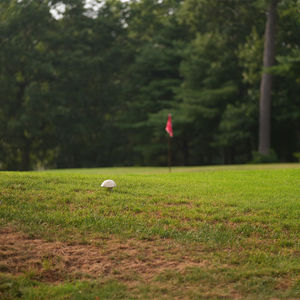 Image post by @playmassgolf on Instagram