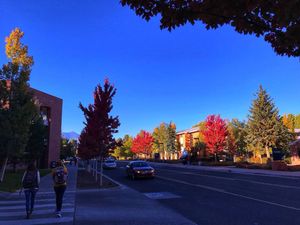 Image post by @nauflagstaff on Instagram
