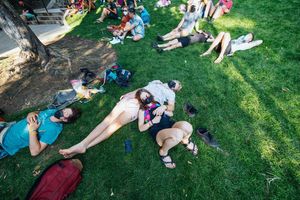 Image post by @treefortfest on Instagram
