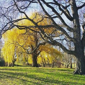 Image post by @fargoparks on Instagram