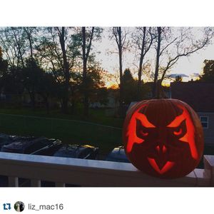 Image post by @iupedu on Instagram