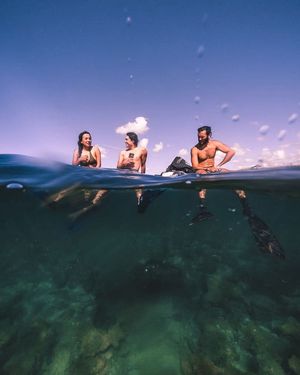 Image post by @serfermedia on Instagram