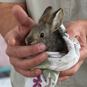 Image post by @centerforbiodiv on Instagram