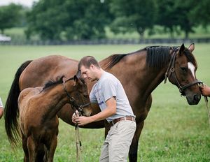 Image post by @spendthriftfarm on Instagram