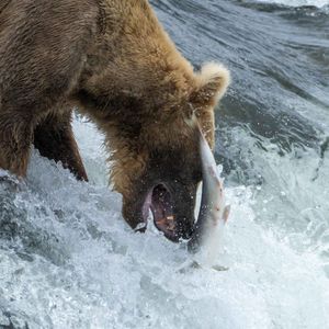 Image post by @nationalparkservice on Instagram