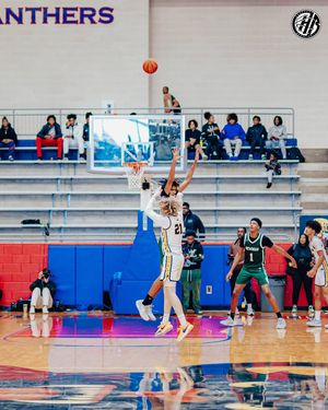 Image post by @hoopfestbasketball on Instagram