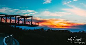 Image post by @rileydaggettcreative on Instagram