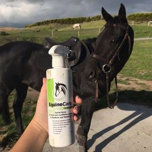 Image post by @equinecareprobiotic on Instagram
