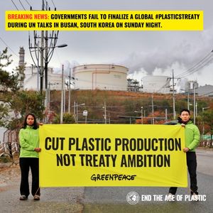 Image post by @greenpeace on Instagram