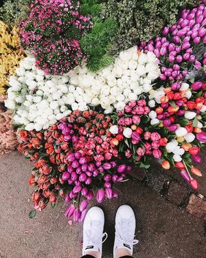 Image post by @moment on Instagram