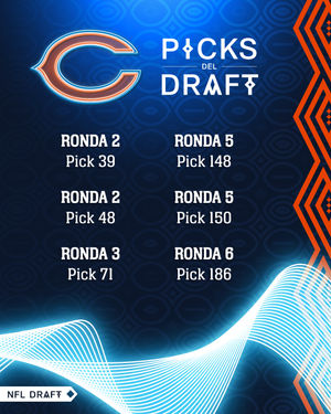 Image post by @bears_es on Instagram