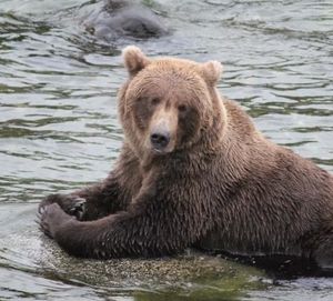 Image post by @nationalparkservice on Instagram